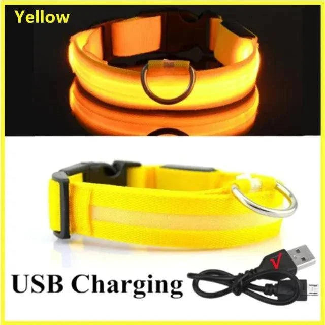 Anti-Lost Dog Light