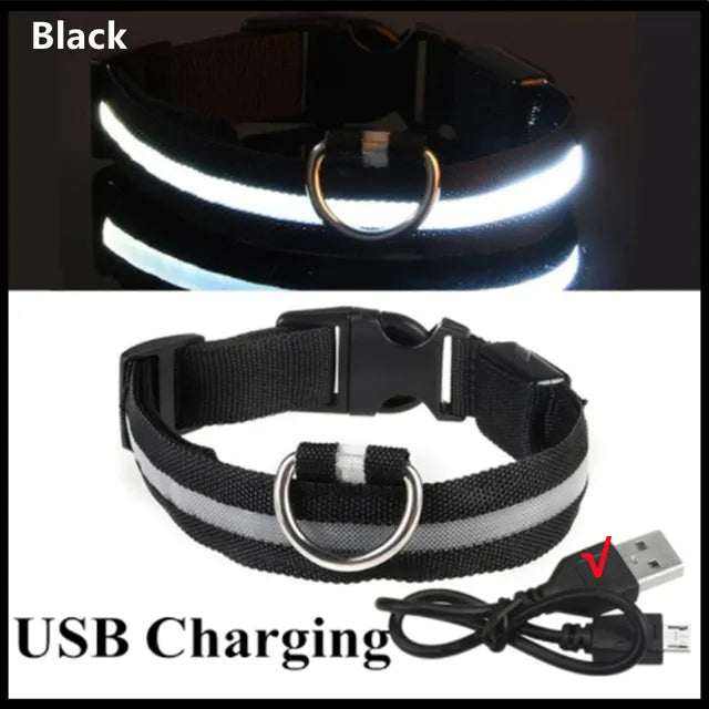 Anti-Lost Dog Light