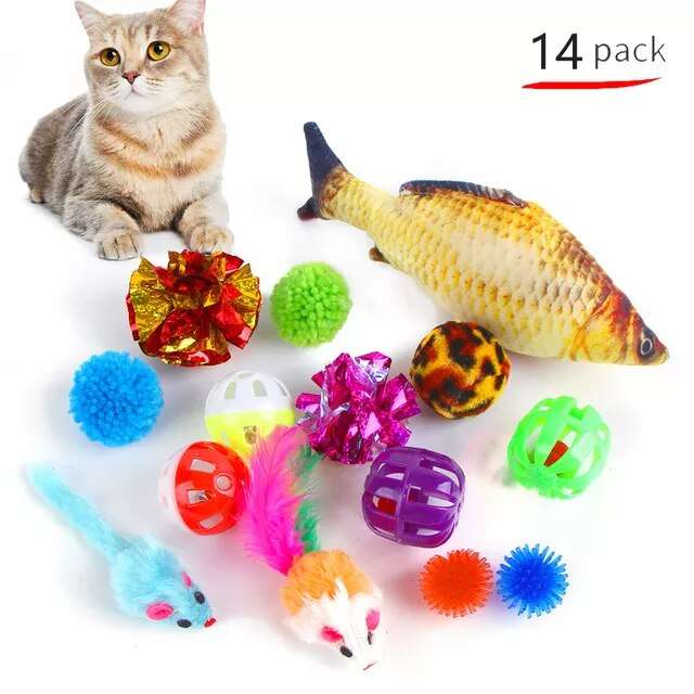 Cat Toys